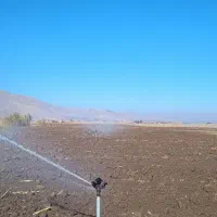 اجاره زمین کشاورزی