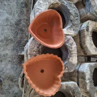 سبزه عید|گل و گیاه طبیعی|اسفرورین, |دیوار