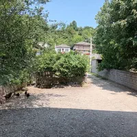 اجاره‌ روزانه ویلای دو خوابه جنگلی