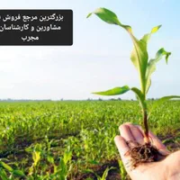 فروش انواع بذر و کود و سم برای کشاورزان|خدمات باغبانی و درختکاری|تهران, باغ فیض|دیوار