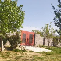 فروش زمین مسکونی تجاری کلنگی دونبش چنارستان وسطی