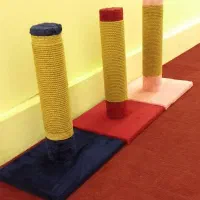 اسکرچر گربه|لوازم جانبی حیوانات|تهران, نظامی گنجوی (توانیر)|دیوار