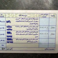 گواهینامه رانندگی پیدا شده