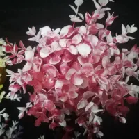 گلدان وگل مصنوعی|گل مصنوعی|قم, ولیعصر|دیوار