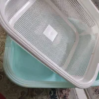 ظروف پلاستیکی لیمون|ظروف نگهدارنده، پلاستیکی، یکبارمصرف|مشهد, الهیه|دیوار