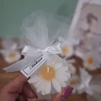 انواع شمع و گیفت تولد و عروسی