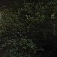 یک باب مغازه