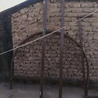 فرفوجه تخت