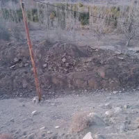 جبالبارز برا اطلاعات بیشتر با شماره|خدمات باغبانی و درختکاری|کرمان, |دیوار