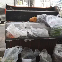 پالت میوه|فروشگاه و مغازه|تهران, شهرک ولیعصر شمالی|دیوار