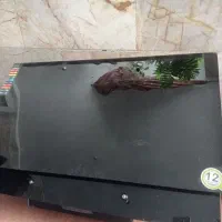 هود