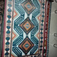 پادری های رنگی رنگی ریشه دار|پادری|پاکدشت, پاکدشت (مامازند)|دیوار