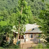 اجاره ویلا روزانه ماسال دلنشین جنگل