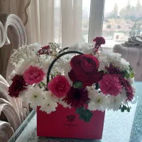 باکس گل طبیعی تازه