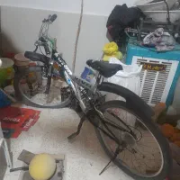 دوچرخه ویوا ۲۶