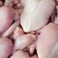 غذای مقوی سگ و گربه بهتر از اسکلت و پا