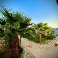 540-متر-چهار-دیواری-با-درخت-بارده-و-تبرعه