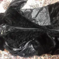 پالتو زنانه|لباس|مشکین‌دشت, |دیوار