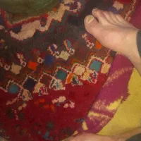 قالی سنتی|فرش|اقلید, |دیوار