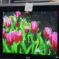 تلویزیون الجی 29ً|تلویزیون و پروژکتور|خوی, |دیوار