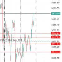 همکاری و کپی ترید