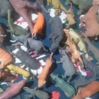 فیگور حیوانات کلکسیونی|کلکسیون و سرگرمی|تنکابن, |دیوار