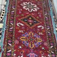 کناره تازه از دار افتاده