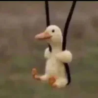 جوجه اردک