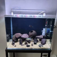 اکواریوم سالم تمیز با ماهی تجهیزات بدون پایه