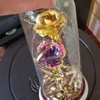 گل درشیشه|گل مصنوعی|شهرکرد, |دیوار