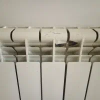 هم خونه فقط خانم|فعالیت داوطلبانه|ماهدشت, |دیوار