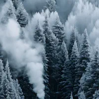 فروش زمین پشت شفا