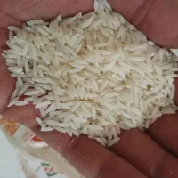 برنج ایرانی|حراج|اندیشه, اندیشه فاز ۴|دیوار