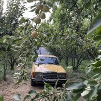 بنز کلاسیک ۲۳۰ دانشجویی