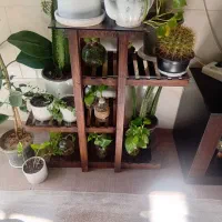 شلف گل وگیاه