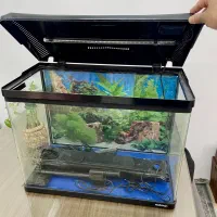 آکواریوم ماهیران