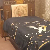 تخت فرفوژه|تخت و سرویس خواب|مشهد, گوهرشاد|دیوار