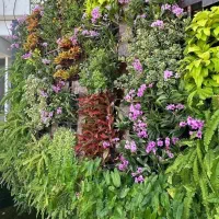 فضای سبز، محوطه سازی،گرین وال، روف گاردن|خدمات باغبانی و درختکاری|تهران, اقدسیه|دیوار