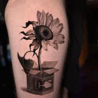 تتوبدن|خدمات آرایشگری و زیبایی|ری, جوانمرد قصاب|دیوار