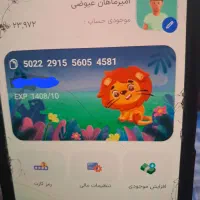 کارت گمشده