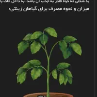 کود های گیاهی و ارگانیک|گل و گیاه طبیعی|شیراز, ملاصدرا|دیوار