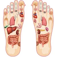 خدمات ماساژ