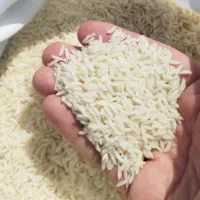 برنج هاشمی و طارم اعلا درجه یک
