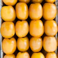 خرما هلیله،بزمانی ( برای ماه رمضان)|خوردنی و آشامیدنی|کرمان, |دیوار