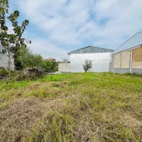 زمین احمد گوراب ۳۷۰ متری نسقی قابل ساخت هستش|فروش زمین و ملک کلنگی|رشت, احمد گوراب|دیوار