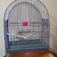 قفس طوطی|لوازم جانبی حیوانات|تبریز, |دیوار