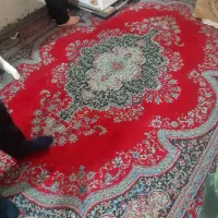 فرش و کسر فرش|فرش|برازجان, |دیوار