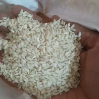 برنج عنبر بو مارک خلیلی