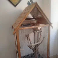 عروس هلندی ومرغ عشق سرحال با قفس دست ساز