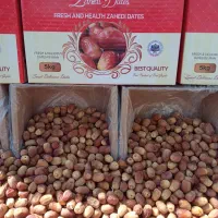 خرما زاهدی